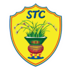stc_logo